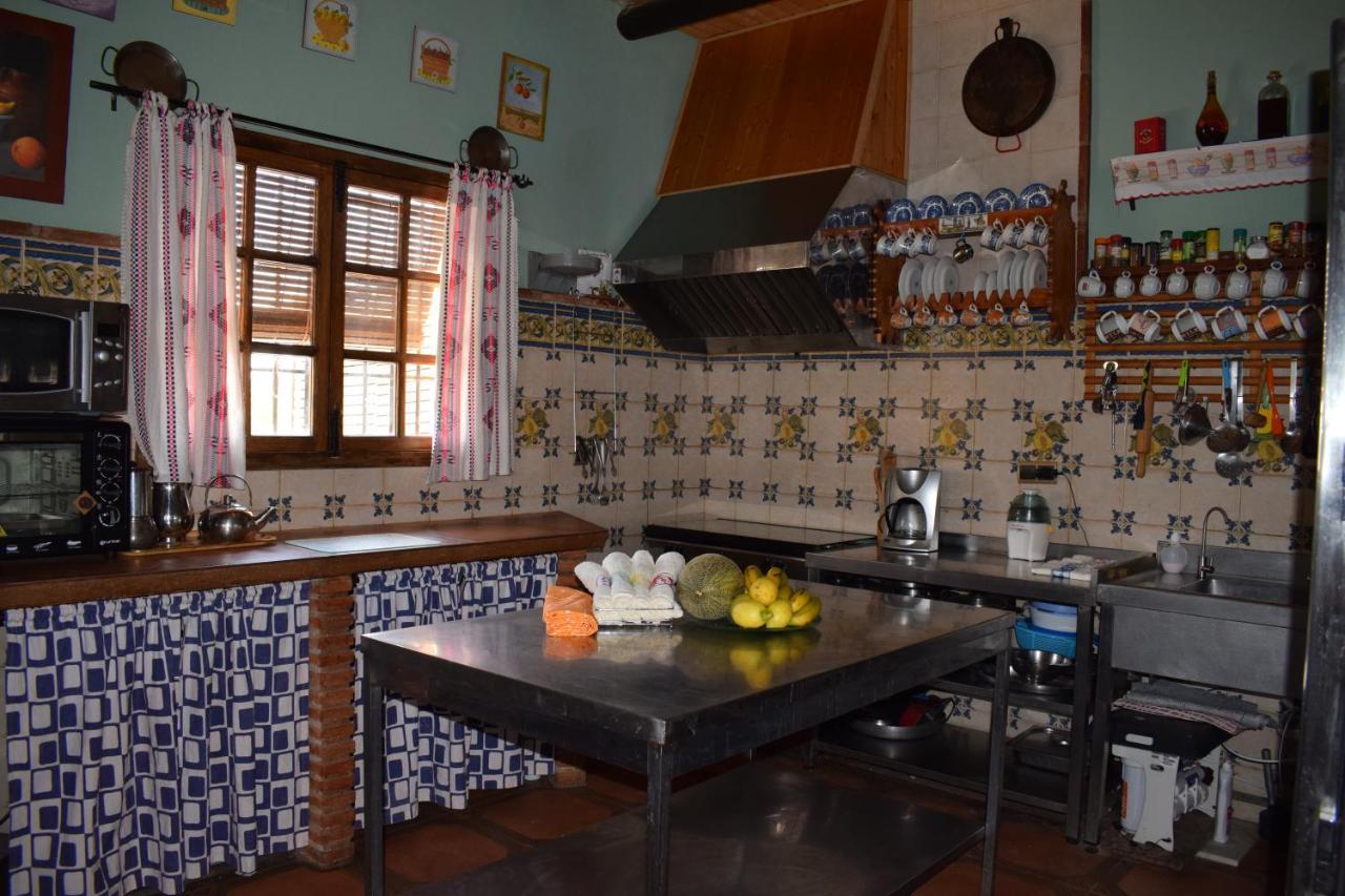 Rural La Vina Rural House Palenciana Villa Dış mekan fotoğraf